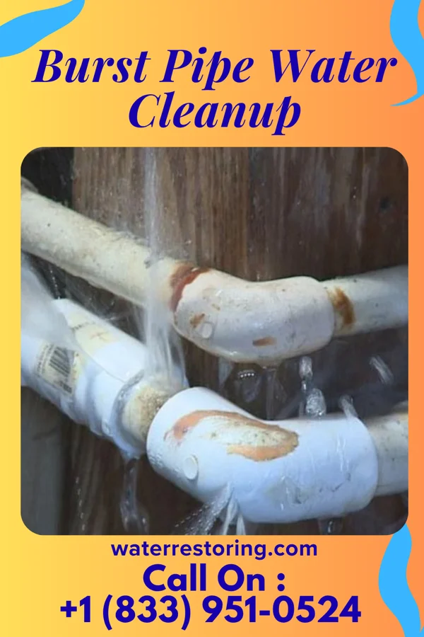 Burst Pipe Water Cleanup in Montgomery, PA