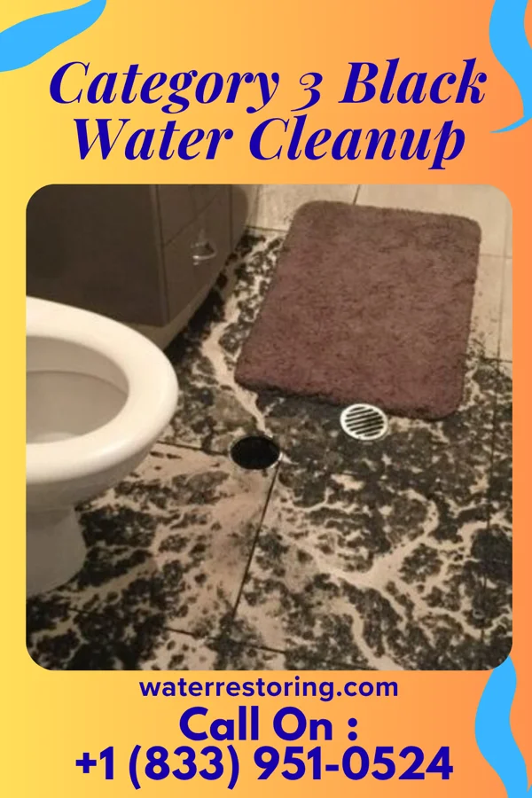 Category 3 Black Water Cleanup in Montgomery, PA