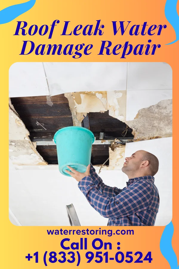 Roof Leak Water Damage Repair in Montgomery, PA