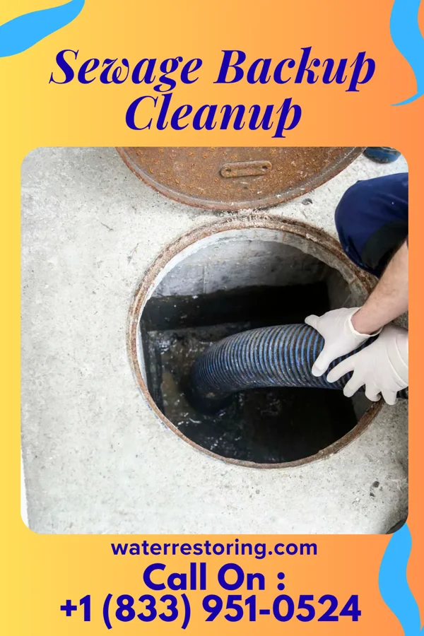 Sewage Backup Cleanup in Montgomery, PA